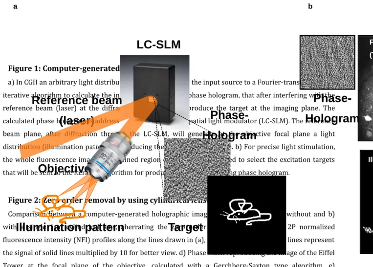 Figure 1: Computer-generated holography 