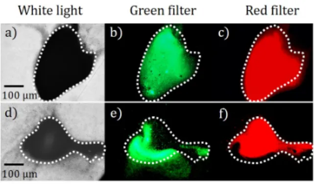 Figure 3: Evolution of the ejection velocity as a function of the illumination power (a) or of the amplitude of the ARF (b) for a given suspension of r p = 1.6 µm polymer beads.