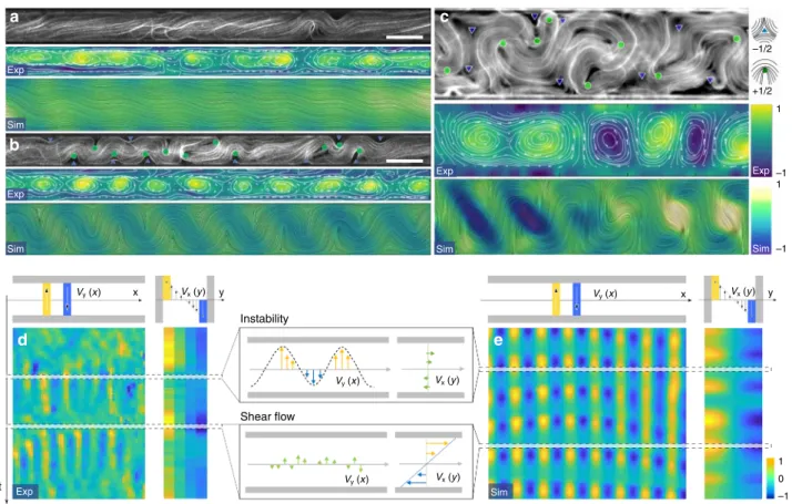 Fig. 3 Flow patterns and periodic instabilities in the shear state. a – d Each panel is composed of (top) a snapshot of a typical confocal ﬂ uorescence image of the active nematic, with defect locations overlaid, (center) experimental Particle Image Veloci