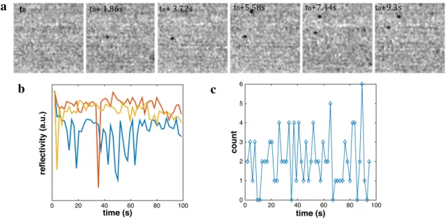 Fig. 5    Reflectivity monitoring of 60 nm bouncing Ag NPs in milli- milli-Q water (&lt; 20 µM citrate) solution