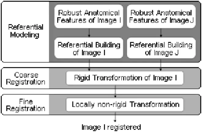 Figure 4 – Anatomical features extracted 