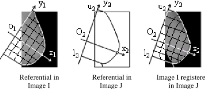 Figure 5 – Orthogonal system used as referential 