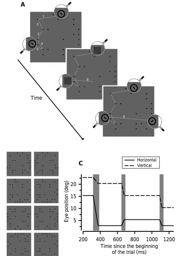Figure 1. Stimuli used in Experiments 1 and 2. (A) Schematic illustration of a rare-contingency trial