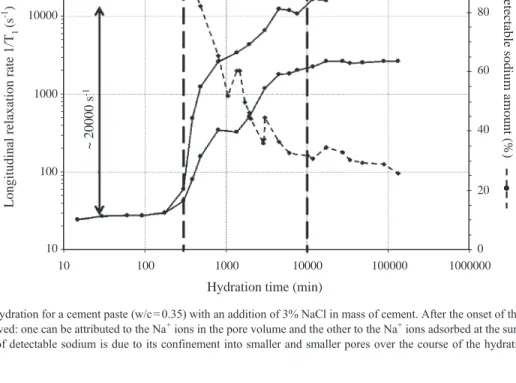 Fig. 1. 23 Na kinetics of hydration for a cement paste (w/c = 0.35) with an addition of 3% NaCl in mass of cement