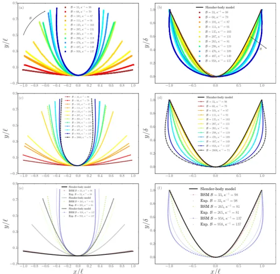 FIG. 6. Final shapes of the filaments y(x/)  (left column) and same but rescaled by the maximum amplitude