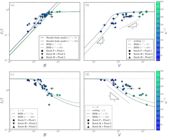FIG. 8. Scaled maximum amplitude δ/ (top) and end-to-end distance λ/ (bottom) as functions of B (left), graphs (a) and (c), and V (right), graphs (b) and (d), for the experimental, analytical (slender-body model), and numerical (BSM) results.