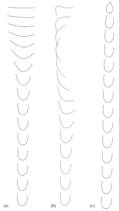 FIG. 1. Experimental chronophotographies of an elastic filament (length 2 = 8.3 cm) settling in a viscous fluid for different initial conditions
