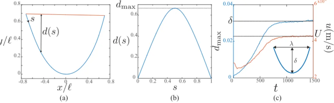 FIG. 4. Image analysis (typical profiles obtained experimentally): the instantaneous shape y(x) of the filament is extracted from the images (a), the deformation d(s ) is measured along the arc length (b), and the maximum deflection d max as well as the ve
