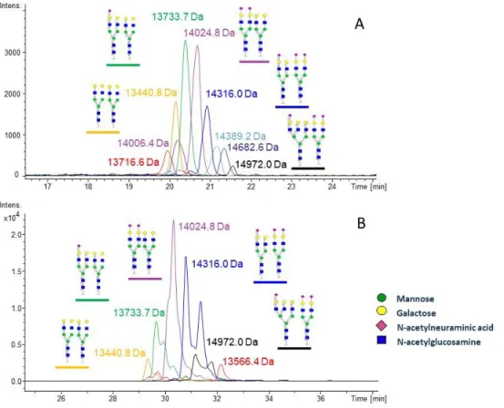 Figure 2: XICs of hCG   glycoforms with N-glycan structures obtained with the analysis of r-hCG by (A)  HILIC-HRMS or (B) RPLC-HRMS