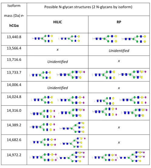 Table 1:  List of absolute mass values and  N-glycan structures of  the α-subunit glycoforms of r-hCG  analyzed by HILIC- or RPLC-HRMS