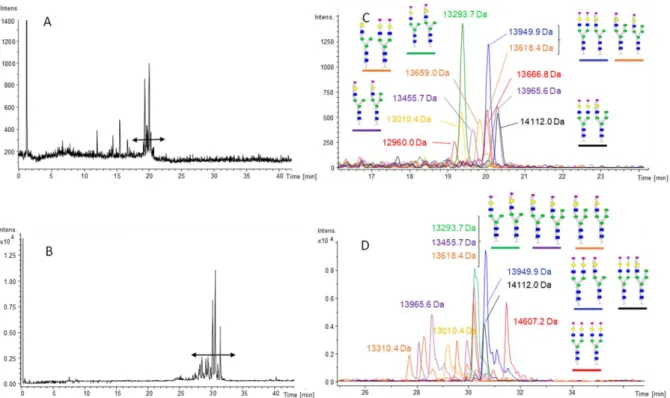 Figure  3:  BPCs  of  u-hCG  analyzed  by  (A)  HILIC-HRMS  or  (B)  RPLC-HRMS  and  XICs  of  the  hCG 