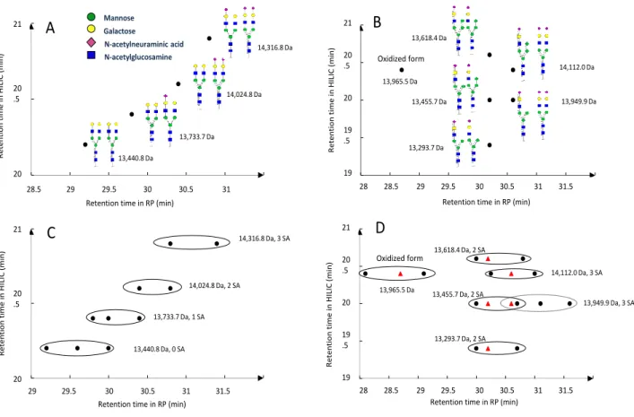 Figure  4:  Retention  times  in  HILIC  as  a  function  of  retention  times  in  RPLC  for  the  common  hCGα  glycoforms of r-hCG (A, C) and u-hCG (B, D)