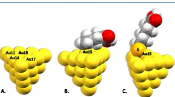 Figure 5. Optimized structures for (A) Au20 cluster, (B) Au20−
