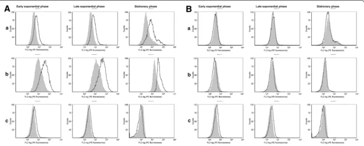 Figure 9  Cytometry analysis of WT HtrA protein exposure at the staphylococcal cell surface
