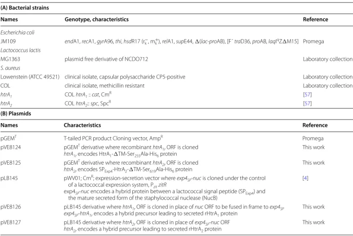 Table 1  Bacterial strains and plasmids used in this study