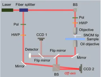 Figure  1.  Schematic  of  the  optical  setup:  an  off-axis  digital  holographic  microscope  (DHM)  is  combined  with  a   near-field  scanning  optical  microscope  (NSOM)  with  aperture  metal-coated  hollow  pyramidal  tip