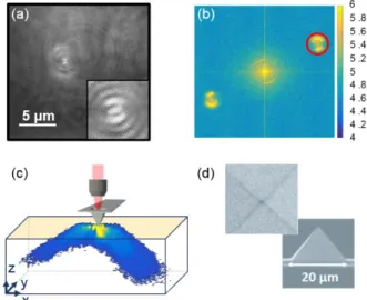 Figure 2. Field reconstruction procedure. (a) Raw hologram  of the scattered light from the nanosized aperture of a NSOM  tip  through  a  plasmonic  sample  made  of  a  40  nm  gold  film  on a glass substrate