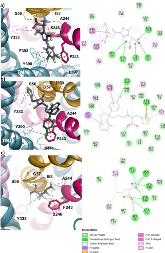 Figure 8.  Docking 3 different inhibitors in the outward-open Asc-1 model. For each ligand, numerous vdw and  H-bound contacts are observed with specific residues of TM1 (yellow), TM6 (raspberry pink),TM8 (pink) and  TM10