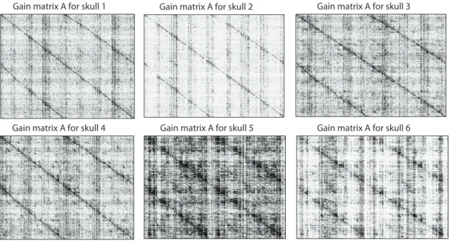 Figure 5. Actual gain matrices A (s) obtained experimentally for S = 6 human skulls.