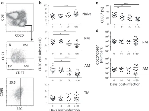 Fig. 5 B-cell dynamics in the MLNs of SIV-infected RMs. a Gating strategy to identify B-cell subsets, including naive (N: CD21 + CD27 − ), resting memory (RM: CD21 + CD27 + ), activated memory (AM: CD21 − CD27 + ) and tissue memory (TM: CD21 − CD27 − ) B c