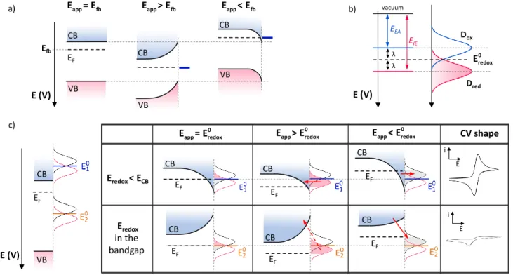 Figure  1.  (a)  Energy  diagram  of  a  n-type  semiconductor  in  the  cases  when  the  applied  potential  (E app )  i)  equals  the  flat  band  potential E fb  (left), ii) is more positive than E fb  (middle), iii) is negative to E fb  (left)