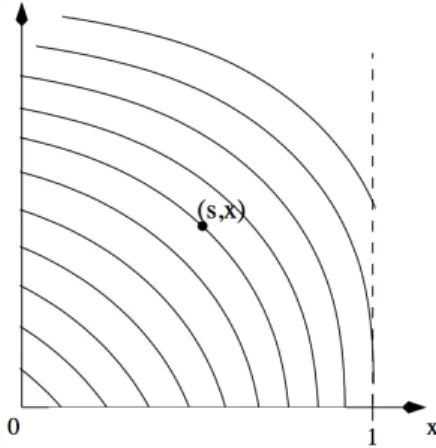 Fig. 2: Characteristics curves in the plan (x, t). The backward in time characteristics cross x = 1 in finite time.