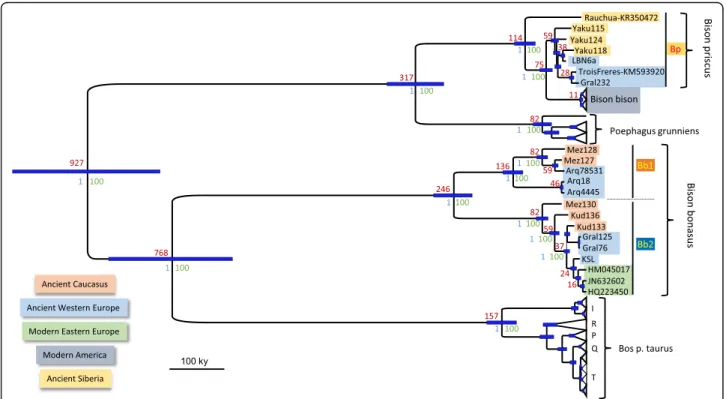 Fig. 3 Bayesian phylogeny of complete mitogenomes of Bos and Bison. We used the complete mitogenomes of ancient Bison obtained herein as well as the two published B