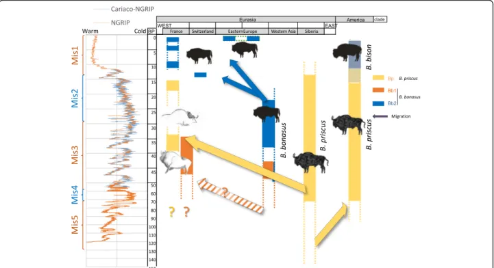 Fig. 4 Schematic representation of the distribution through time and space of the various mitogenome clades