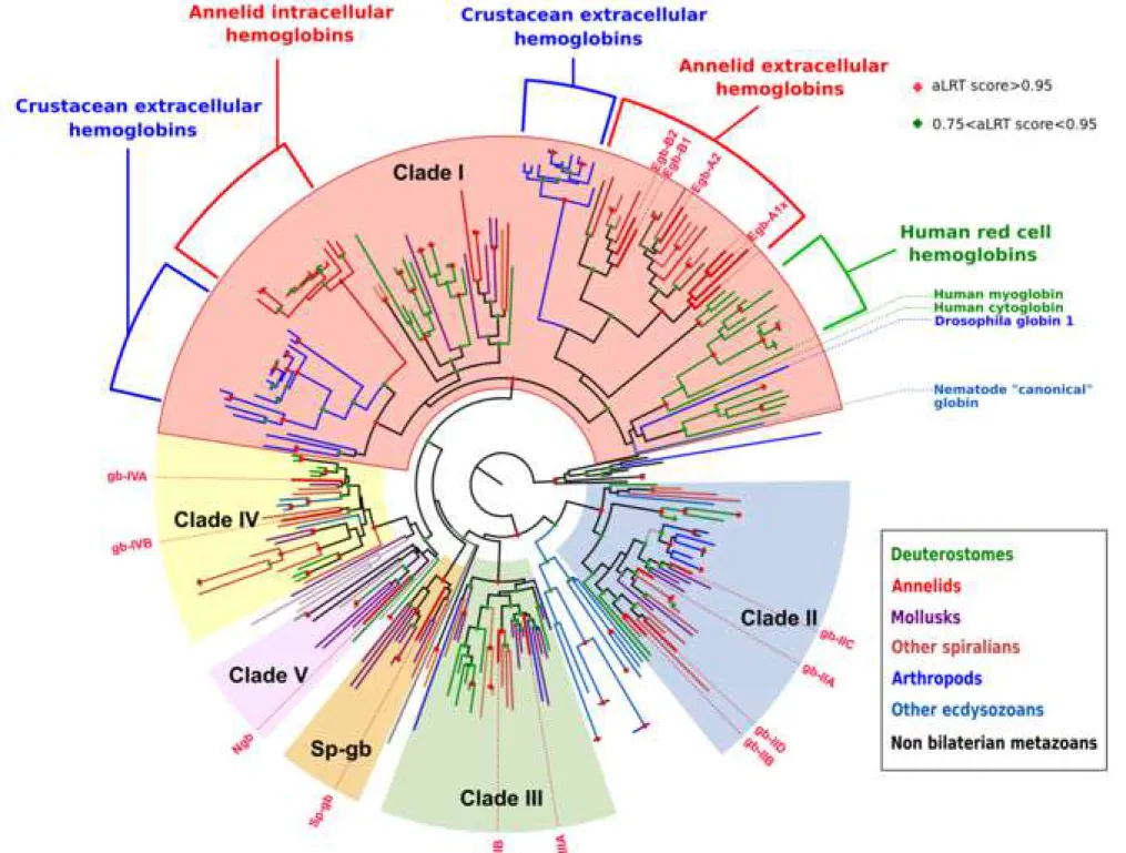 Figure 3 Click here to access/download;Figure;Figure3.png