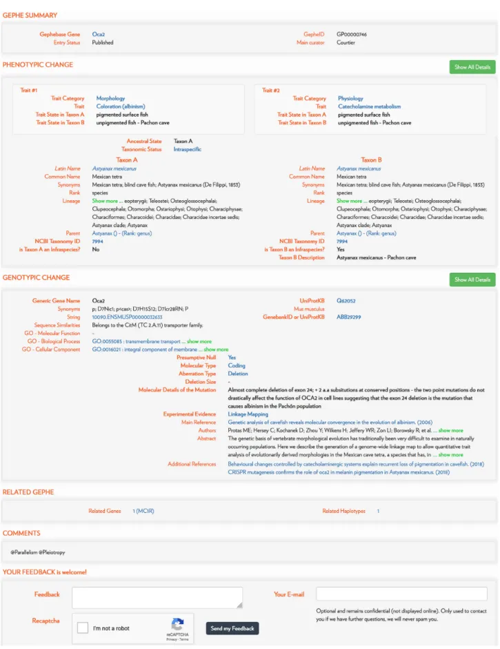 Figure 3. Example of a Gephebase entry. Gephe entries provide extensive information about phenotypic traits, taxon groups, genetic changes, as well as publications.