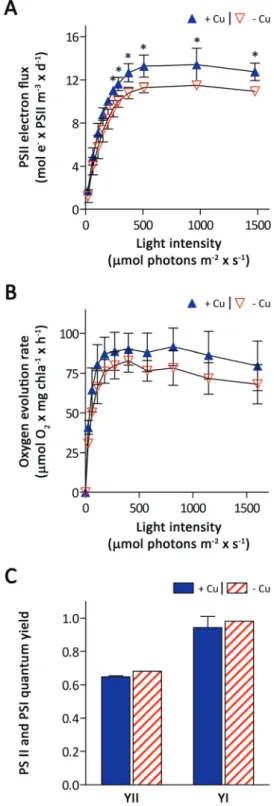 Fig. 2 Photosynthesis light response curves and quantum yields of photosystems II and I in O
