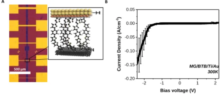 Figure  2:  (a)  Optical  image  of  MG-BTB//Ti/Au  junctions  with  various  dimensions  of  junctions