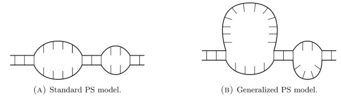 Figure 1. Standard v. Generalized Poland-Scheraga models. The figure on the left represents the standard PS model: the two strands of DNA have the same length (there are 14 base pairs in Fig