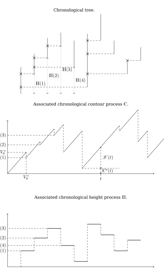 Figure 4: Chronological height and contour processes associated with the chronological tree constructed from the sequence of sticks of Figure 1.