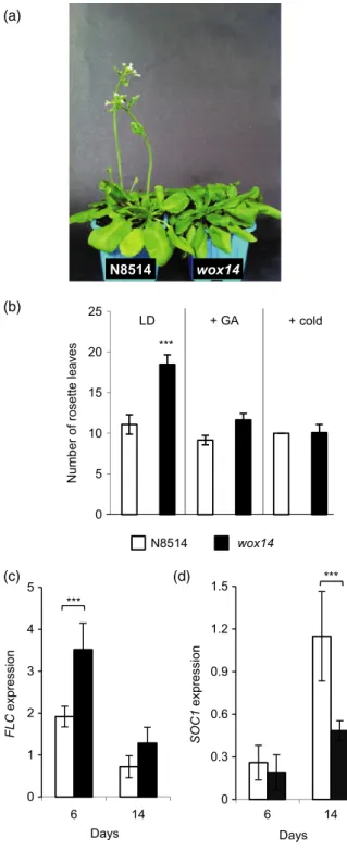 Figure 1. Exogenous gibberellin (GA) or prolonged stratification fully res- res-cues the wox14 late-flowering phenotype