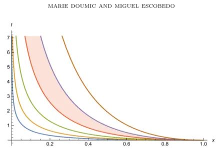 Figure 1. Different curves of the form s + = γ for different values of γ &gt; 0, so that 2t = −γ 2 log x.The function xu(t, x) tends to zero exponentially fast uniformly out of the shaded region