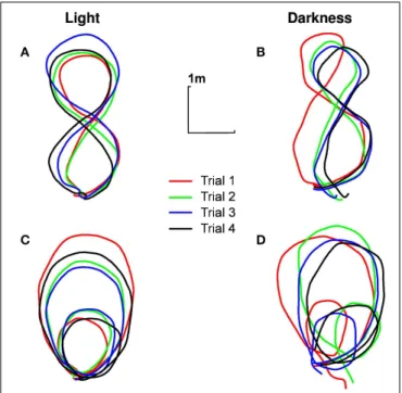 FIGURE 2 | Typical trajectories followed by participants. Trajectory of the pelvis of participant n ◦ 1 in the ground plane, for different experimental conditions [(A) eight shape in light, (B) eight shape in darkness, (C) limaçon in light, (D) limaçon in 