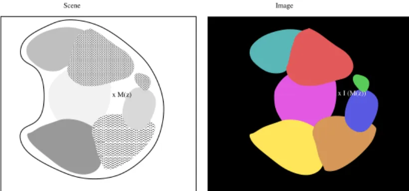 Figure 2. The scene representation and the image acquisition.