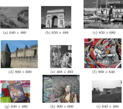 Figure 10: Tolerance image dataset.