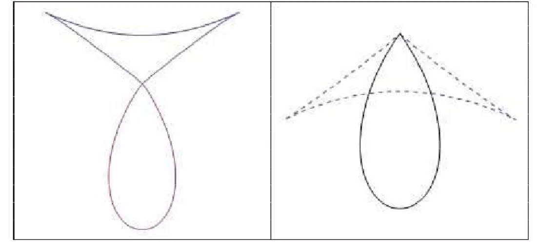 Figure 8. Generatrices of revolution hedgehogs with the same curvature Obviously, we can place the origin at such a point of the axis of revolution that S admits a parametrization of the form