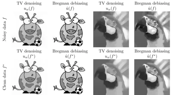 Figure 4: TV denoising and debiasing of the Giraffe and the Parrot images for either noisy data f or clean data f ∗ , with the same regularization parameter α = 0.3.