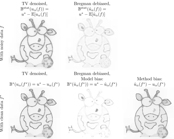 Figure 5: Bias estimation. First row: Statistical bias computed on five hundred noisy realizations of the Giraffe cartoon image