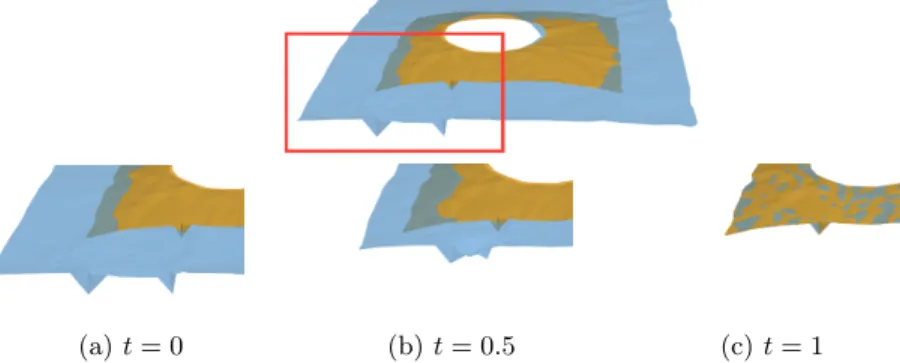 Fig. 4: Matching of two retinas with normal cycles : the target (in orange) and the source (in blue)