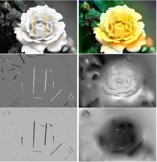 Figure 3: Colorization experiment using the conditional diffusion equation.