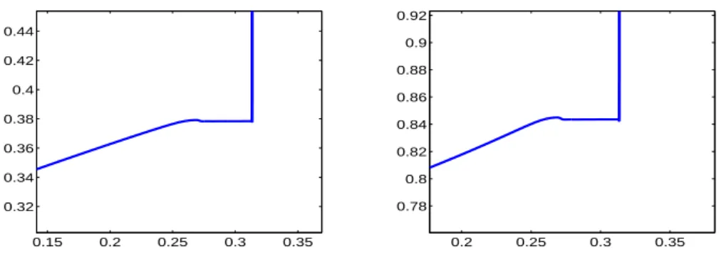 Figure 3.11. Zoom at nonclassical states in the approximation of the Riemann problem with initial data (3.23) resulting in a large jump in volume τ.