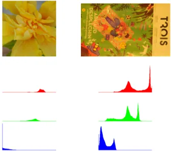 Figure 1. Left: Image without color cast and its RGB histograms. Right: