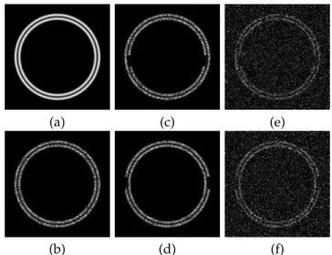Fig. 2. Synthetic data. (a) Template composed of two con- con-centric circles. (b) Template with multiplicative white noise.