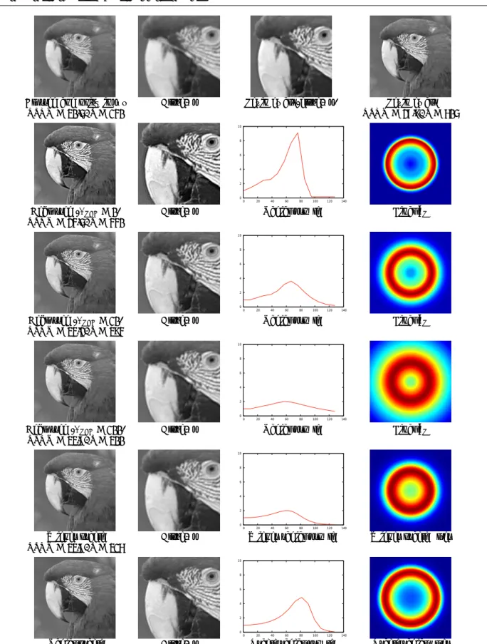 Fig. 15 Blind deblurring of a blurry and noisy version of Parrots. The first row displays the degraded image (used as input), and the deblurred image obtained with Levin et al