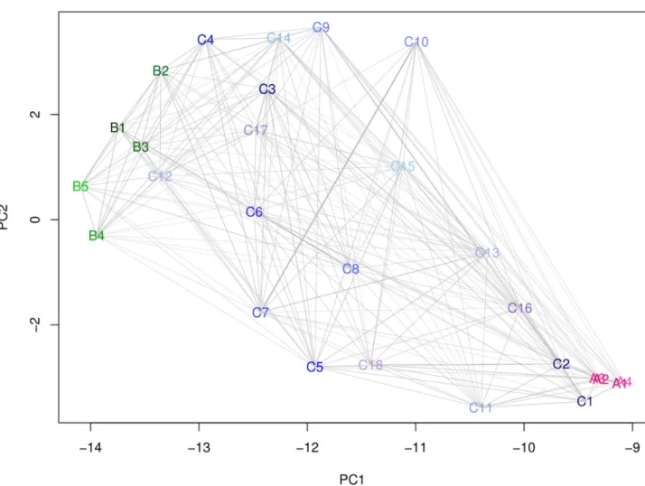 Fig 5. Main Markovian transitions between 27 SL of SAFlex. The SL are projected in the PCA (97.45% of explained variance with the two first axis) space formed by the expected value of the geometrical descriptors of each SL