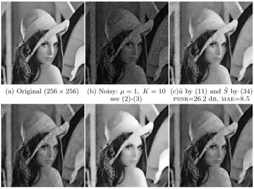 Fig. 3. Restoration of (b) using modern methods. Note that (c) is a slightly improved version of [26] and that the restoration in (d) is done in the curvelet domain.